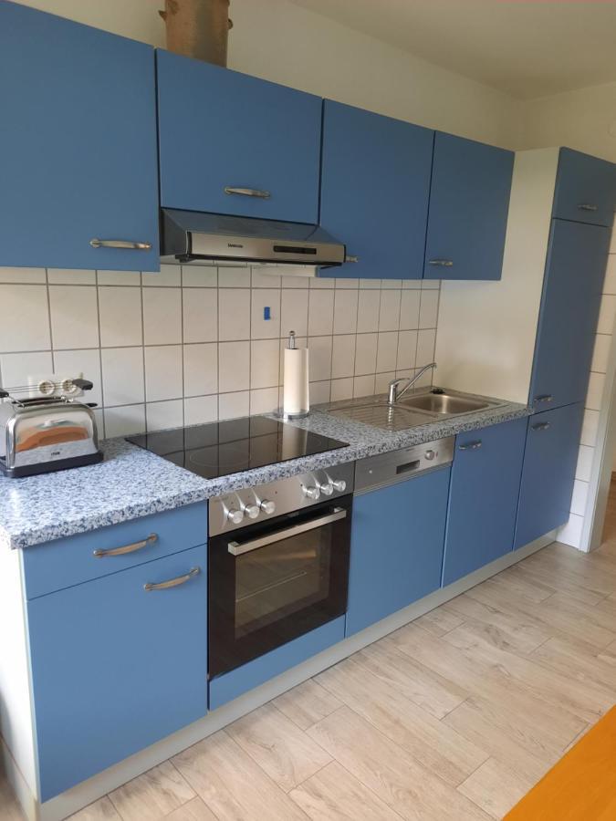 Ferienwohnung Heiming 萨尔堡 外观 照片